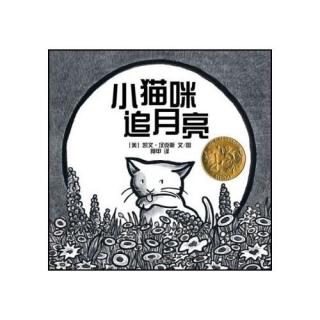 295、《小猫咪追月亮》－可乐