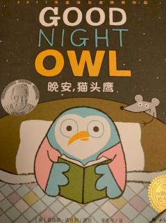 英文绘本 Good Night Owl （晚安猫头鹰）