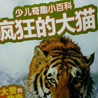 疯狂的大猫2