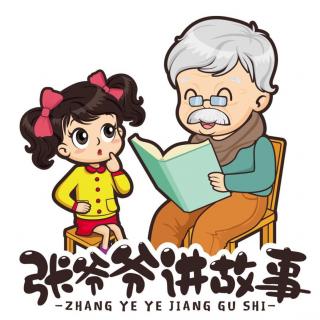 小燕子回来了