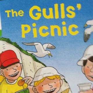 gulls picnic图片