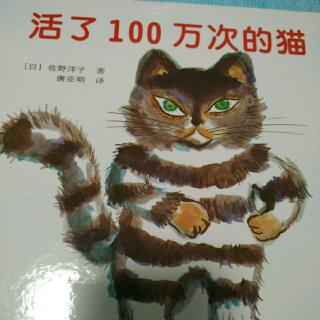 活了100万次的猫