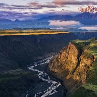 我的伯父鲁迅先生