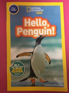 Hello Penguin