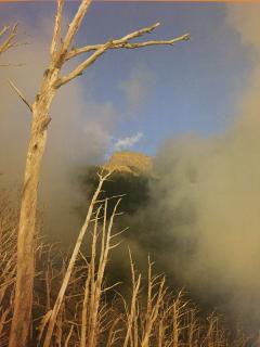 2018.11.3高山向导王天定