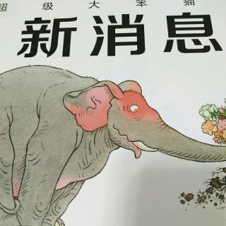 超级大笨猫的新消息