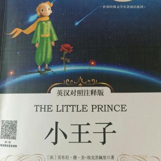 The Little Prince-Chapter4（双语阅读）
