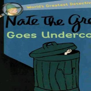 Nate the Great Goes Undercover——Chapter Three