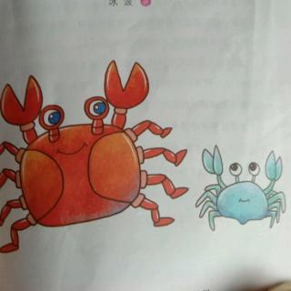 《孤独的小螃蟹》8小青蟹回来了
