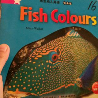 fish colours