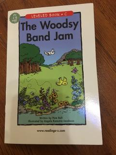 The Woodsy Band Jam