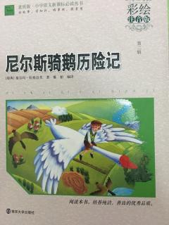 2．与白鹅同飞