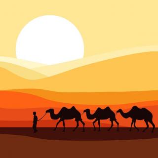 【吉他弹唱】《沙漠骆驼》