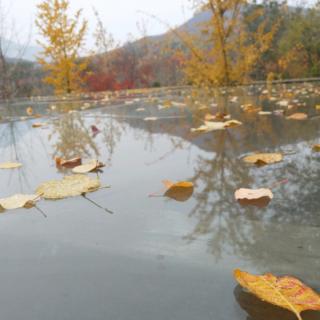 老去的时光  中岛