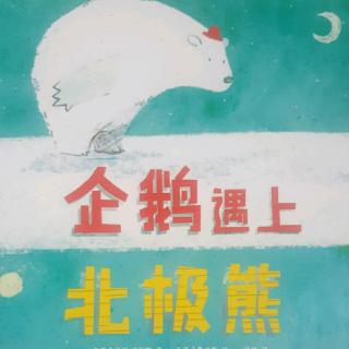 企鹅🐧遇上北极熊