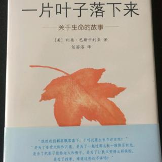 《一片叶子落下来》 〔美〕利奥·巴斯卡利亚 著  任溶溶  译