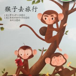 猴子去旅行