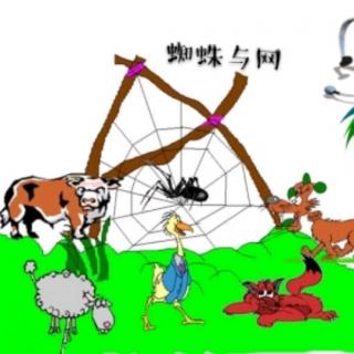 【故事450】虎渡名门幼儿园晚安绘本故事《蜘蛛与网》