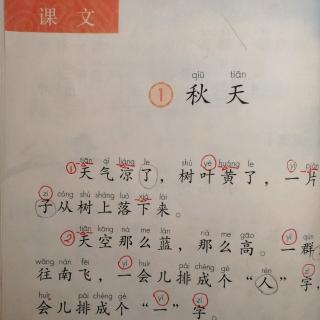 拼读语文书54~55页11月5日