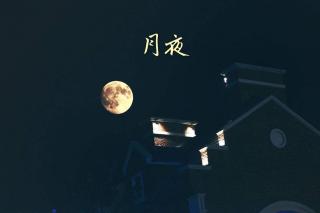 古诗《月夜》［唐］刘方平