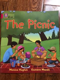 教学音频The Picnic