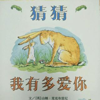 猜猜我有多爱你