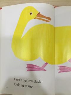 Jackie I see a yellow duck