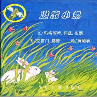 口才宝🐸语商乐园💤晚安故事《逃家小兔🐇》