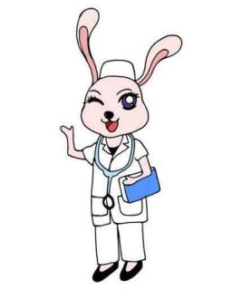 《兔子医生》