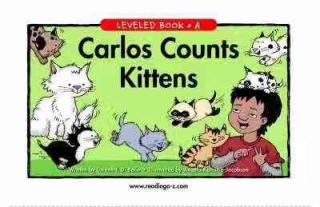 K03 Carlos Counts kittens