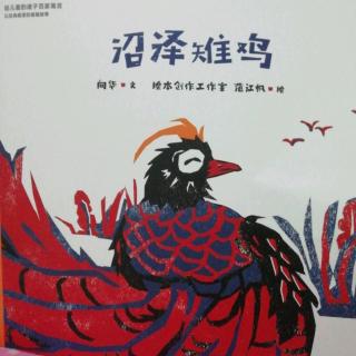 沼泽雉鸡