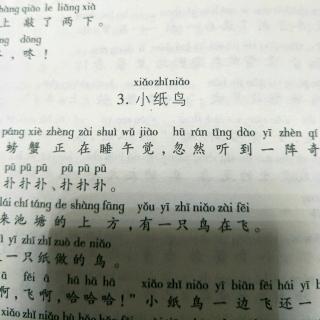 《小纸鸟》