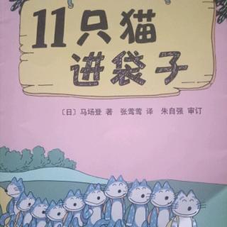 11只猫进袋子