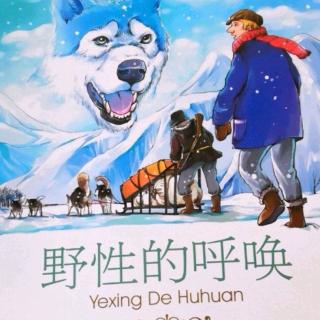 《野性的呼唤第二章新生活第二节雪地生活39页～46页》