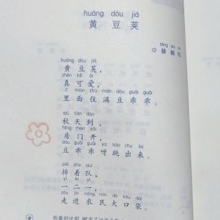 《黄豆荚》