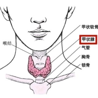 慢性淋巴细胞性甲状腺炎的特殊临床表现是什么？