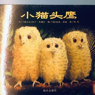 萌宝爱阅读～小猫头鹰🦉