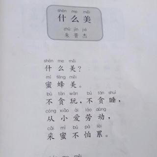 《什么美》