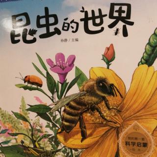 【1834】园长妈妈讲故事《昆虫的世界》