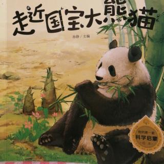 【1837】园长妈妈讲故事《走近国宝大熊猫》