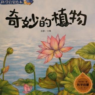 【1838】园长妈妈讲故事《奇妙的植物》