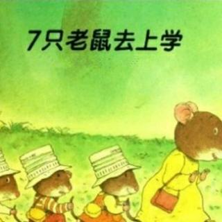 七只老鼠去上学