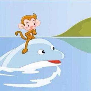 【睡前故事】猴子🐒和海豚