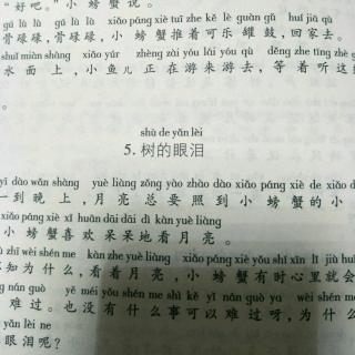 《树的眼泪》