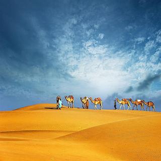 沙漠骆驼（钢琴曲）-Mo