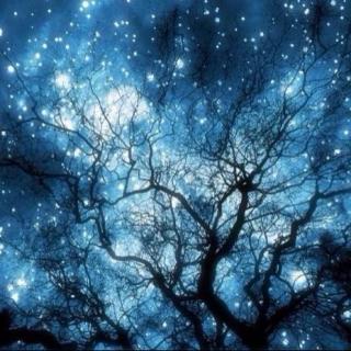 夜空中最亮的星（钢琴曲）-Mo