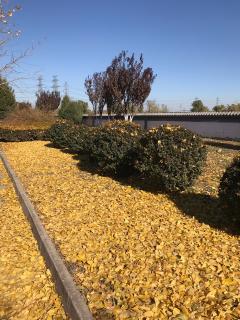 2《借我》作者/樊小纯20181109152348