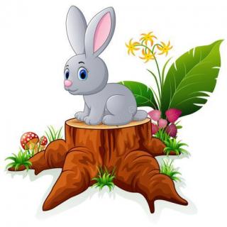 兔宝宝-森林报春季第一月-林中故事