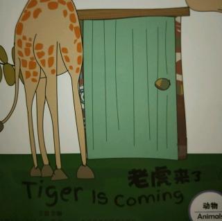 Tiger is coming