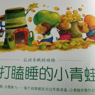 东阿棒孩子晚安故事《爱打瞌睡的小青蛙🐸》